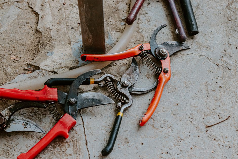A pair of garden pruning shears resting on a workbench, a small tool commonly borrowed and returned between neighbors
