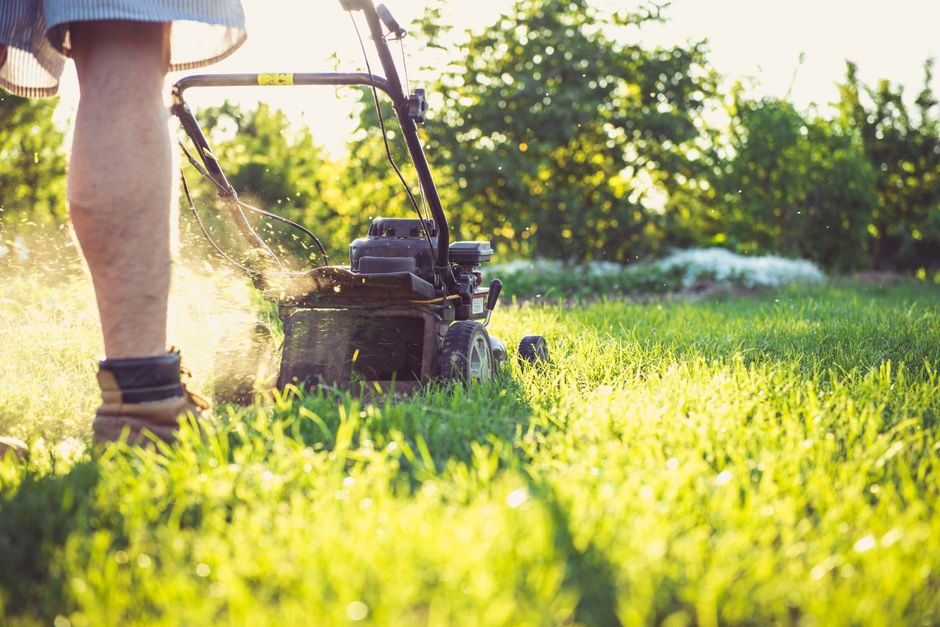 A push lawnmower being used to cut a green residential lawn, the kind of item neighbors often lend to each other