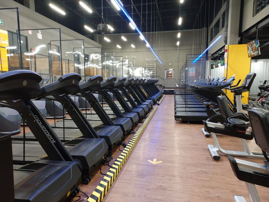 A treadmill set on a thick rubber mat in a home, positioned to reduce vibration reaching the unit downstairs.
