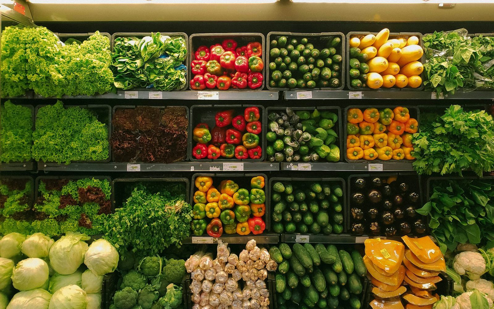 The Realistic Way to Compost in a Small Unit