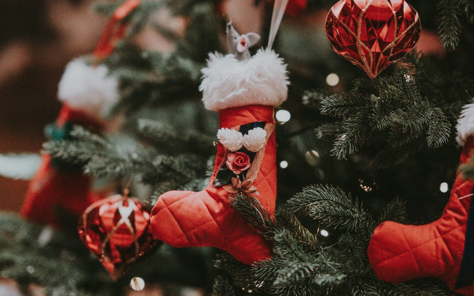 Holiday Decorations and the Polite Range