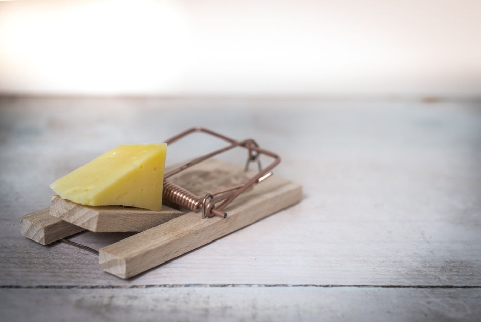 A wooden snap trap set along a baseboard, the low-cost approach recommended for resolving a single-mouse issue in an apartmen