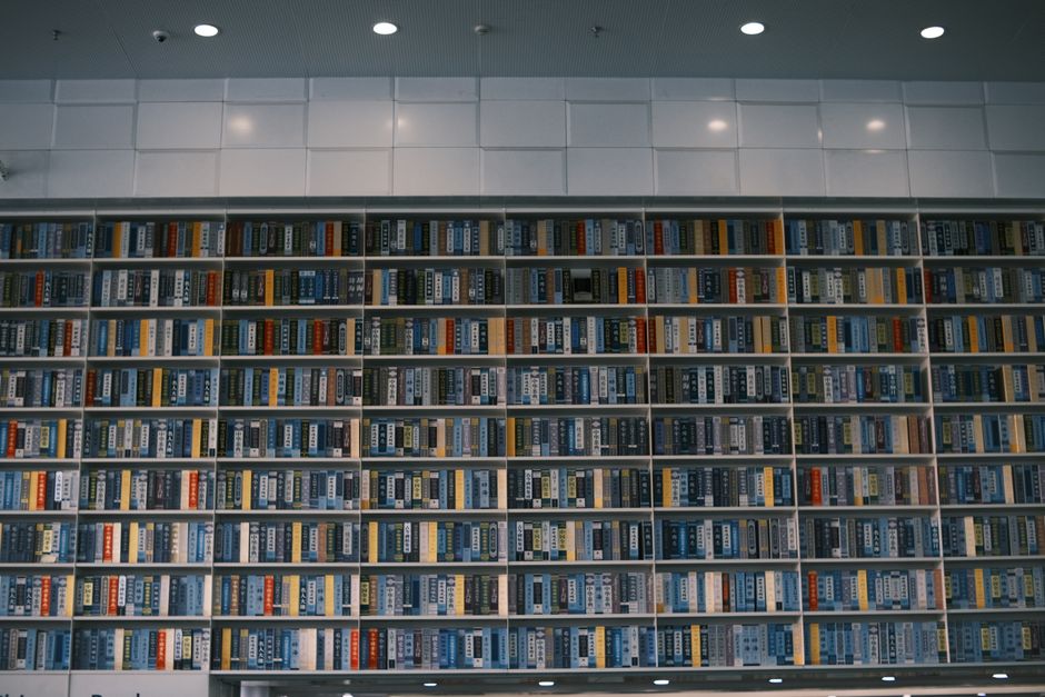 A tall wooden bookcase packed with books standing against a wall, which absorbs sound that a bare wall alone does not
