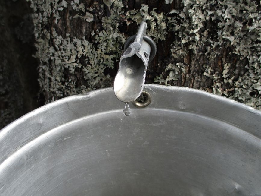 A bucket on the floor catching water dripping from a damaged apartment ceiling