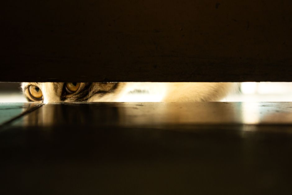 Gap along the bottom of an apartment door where air and smoke can pass through