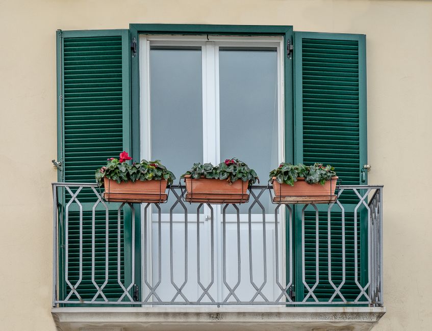Potted plants lined up along the inside of an apartment balcony railing