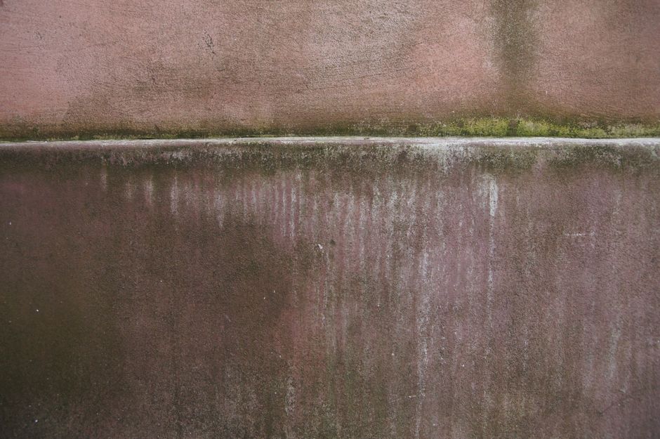 A person using a phone to photograph a damp, stained wall for their records